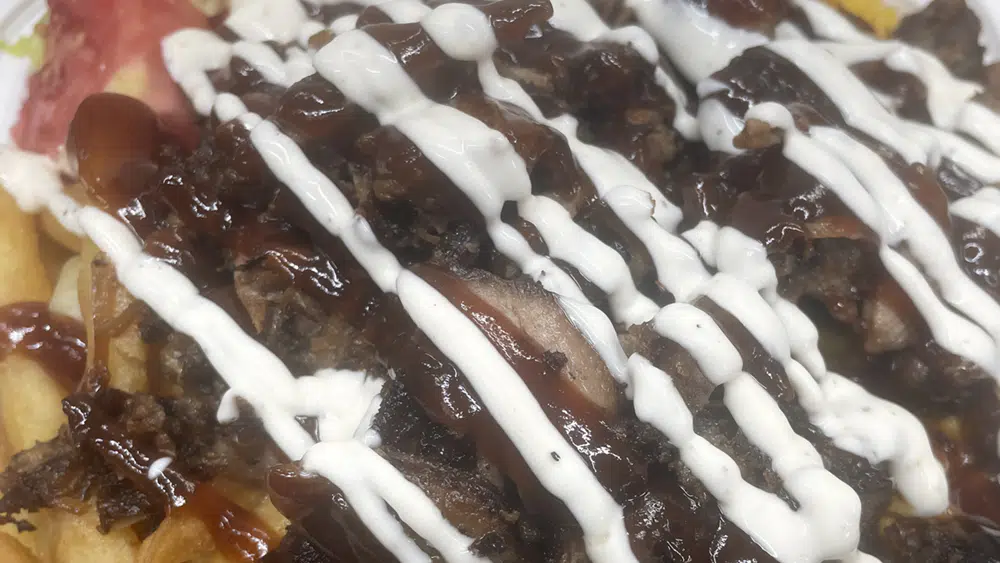 Pork Gyro Platter